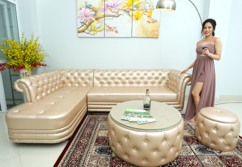 Top 50 mẫu bàn ghế Sofa tân cổ điển giá rẻ đẹp nhất