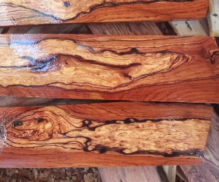các loại gỗ quý hiếm trên thế giới