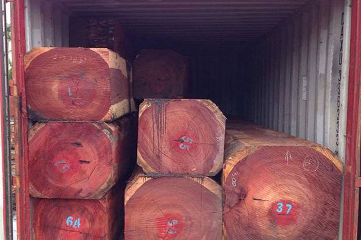 Khối gỗ Hương đỏ Nam Phi nhập khẩu về Việt Nam