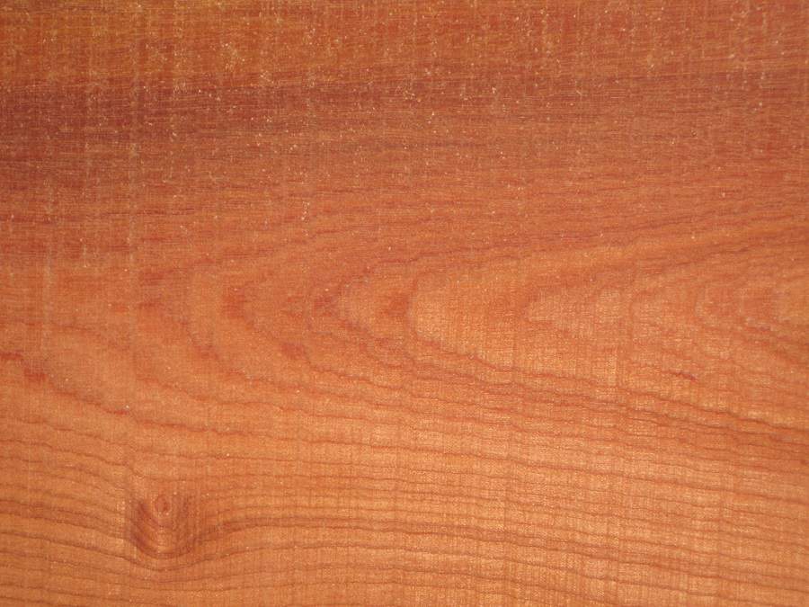 Màu sắc đẹp măt của cửa gỗ xoan đào