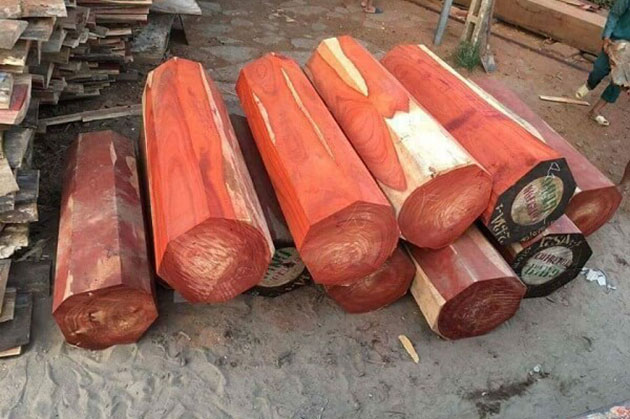 Màu sắc nổi bật đặc trưng của gỗ Hương đỏ không nhầm lẫn với loại gỗ nào khác