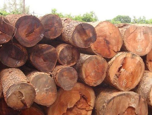 Sự khác nhau về màu sắc và giá trị kinh tế giữa gỗ Lát và gỗ Gõ đỏ